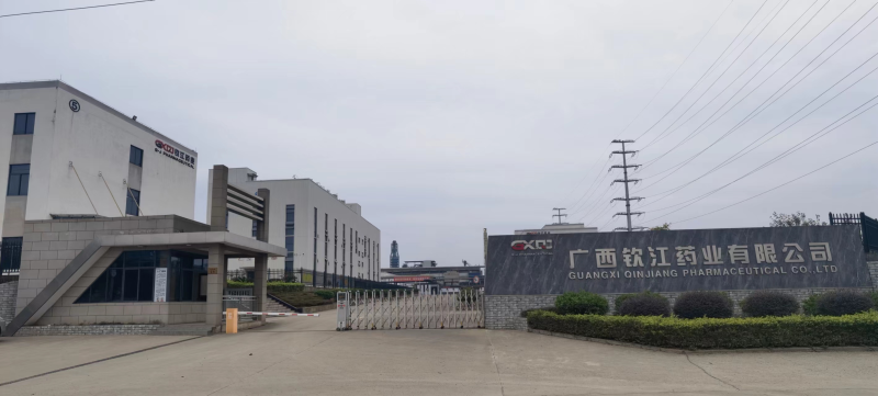 广西钦江药业有限公司